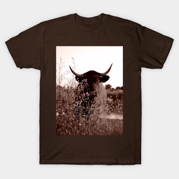 Hidden Gem Alert: This Sepia Cow Portrait Is Pure Magic! T-Shirt by Dutch.View.22